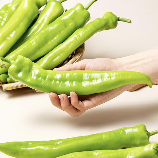 青椒 约500g/份 商品图1