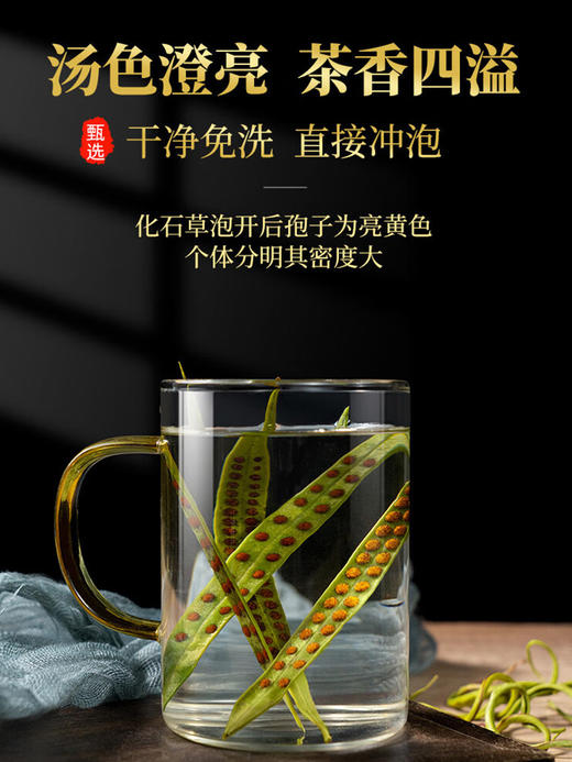 【自营】肾精茶70g/瓶 商品图2
