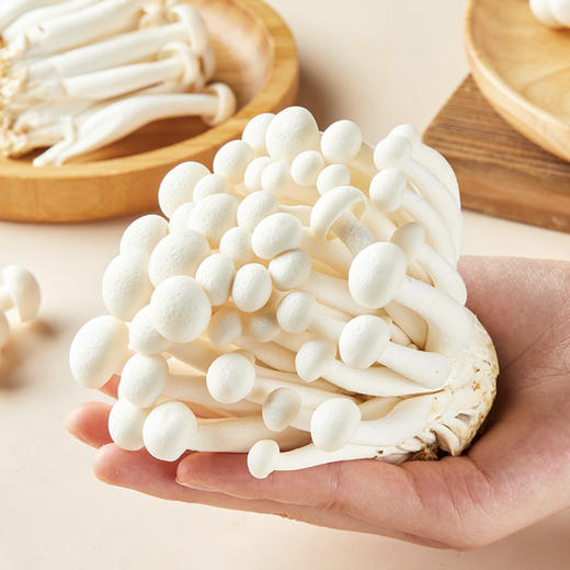 白玉菇 1袋/份 商品图2