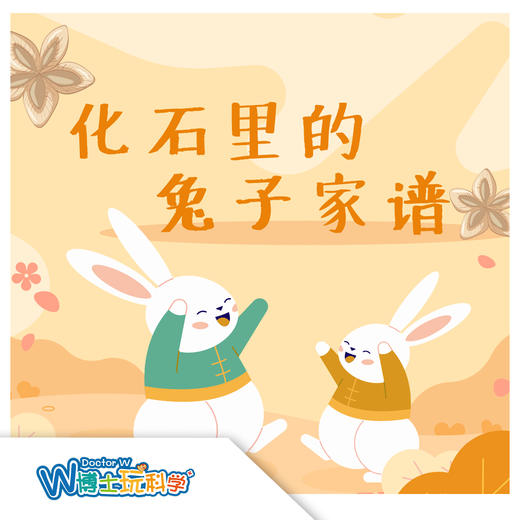 北京【化石里的兔子家谱】 商品图0