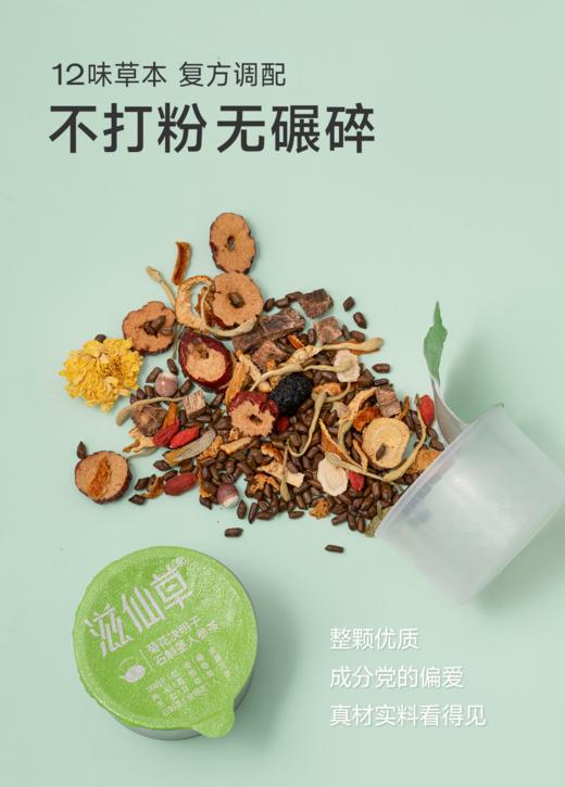 滋仙草·12味菊花决明子石斛人参茶    12味草本   汤色清澈     独立小罐 春节不打烊 商品图2