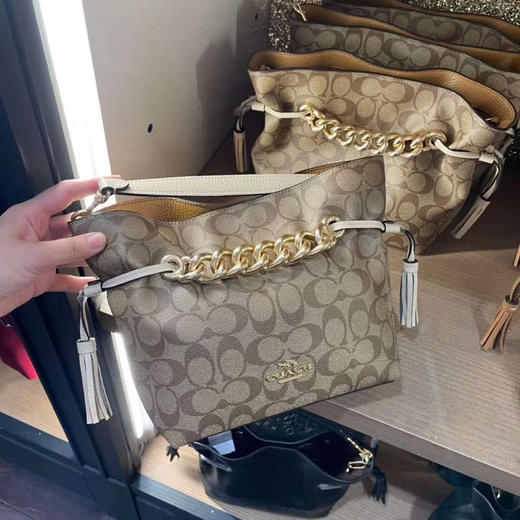 🇺🇸1320包邮！Coach 小号andy tote福袋包 商品图0