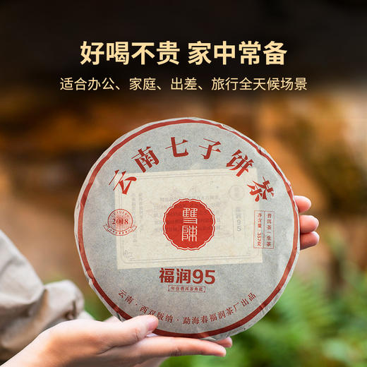 双陈2022年福润95生茶357g勐海产区云南七子饼茶 商品图2
