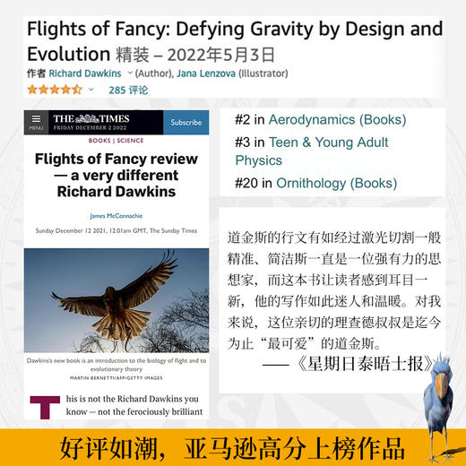 你想飞吗，像鸟一样？ 商品图2