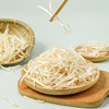 绿豆芽 约500/份 商品缩略图2