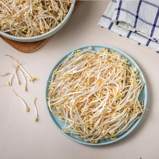 黄豆芽 约500/份 商品图2