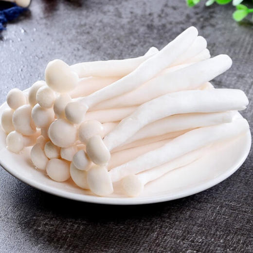 海鲜菇 1袋/份 商品图4