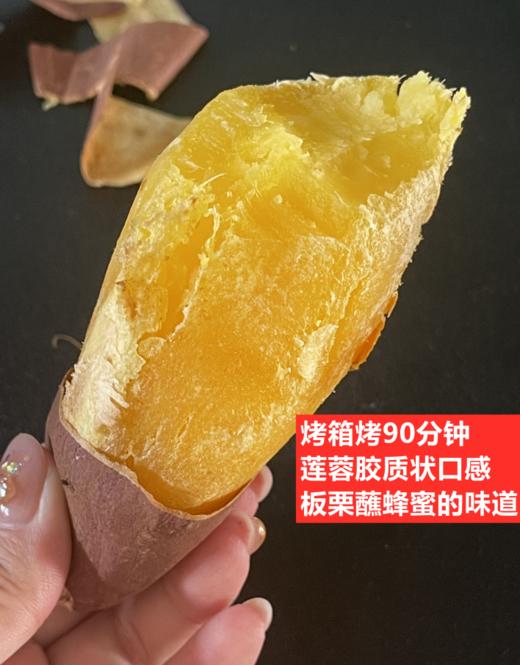 地瓜鸣门金时地瓜 商品图0