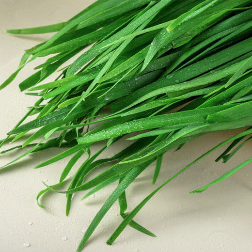 韭菜 约500g/份 商品图4