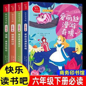 鲁滨逊漂流记原著完整版 快乐读书吧六年级下册必读的课外书全套 汤姆索亚历险记爱丽丝漫游奇境尼尔斯骑鹅旅行记 鲁滨孙漂游记6下