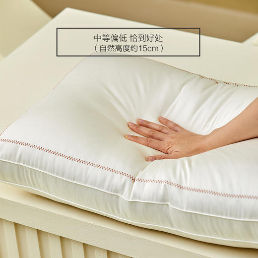 金三塔玻尿酸单人蚕丝枕头 枕芯 中等偏低恰到好处舒适成人枕头  CSZ508 商品图1