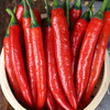 红美人辣椒 约150g/份 商品缩略图1