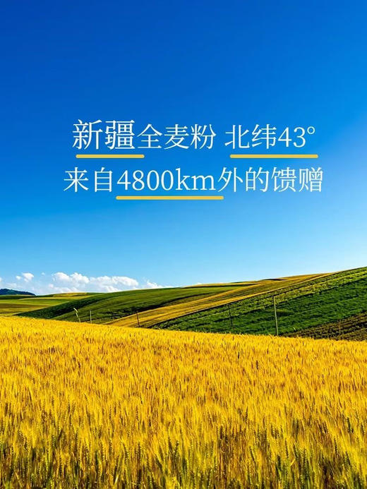 新疆小麦面粉10斤/新疆奇台面粉5kg 商品图12