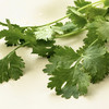 真蔬无公害-香菜 约150g/份 商品缩略图5