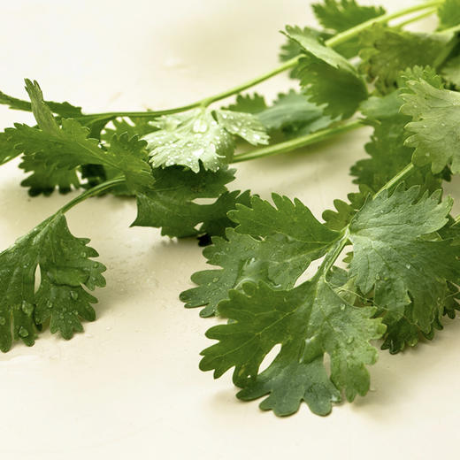 真蔬无公害-香菜 约150g/份 商品图5