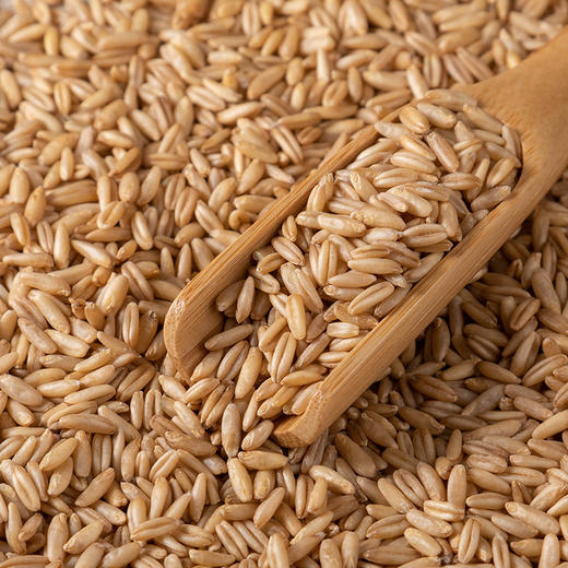 金贞熙燕麦米（新鲜直供，真空包装） 商品图3