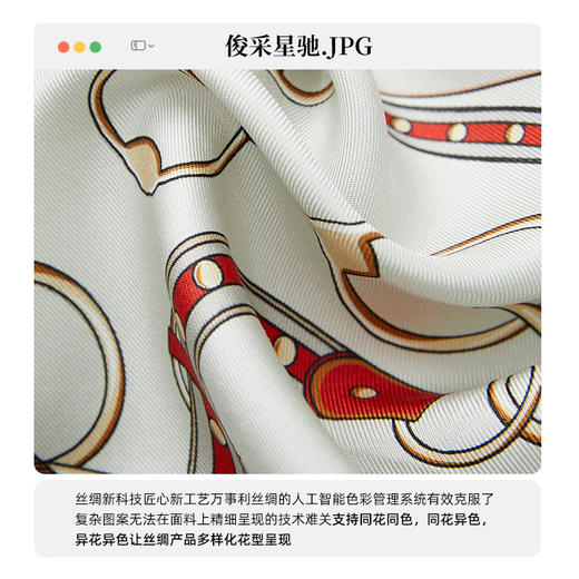 万事利“俊采星驰”63里面双面印花中方巾 商品图2