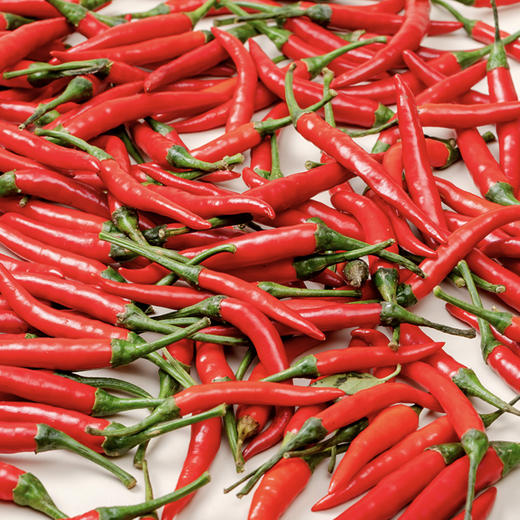 小米椒  100g/份 商品图2