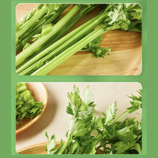 真蔬优选-毛芹菜 约500g/份 商品图1