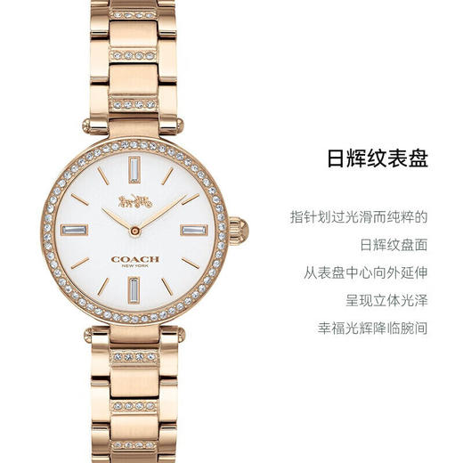 【以时光印记浪漫，传递陪伴一生的誓言】COACH蔻驰新款男女情侣时尚对表礼盒（送价值499元纯银项链） 商品图3