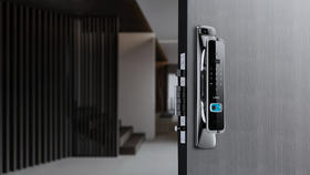 仪酷（ITSKOO） 仪酷智能门锁-IKX - 人脸识别|可视对讲 指纹密码磁卡瞬时全自动解锁 IKX门锁 + 安装