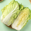 大白菜 约4斤/份 商品缩略图1
