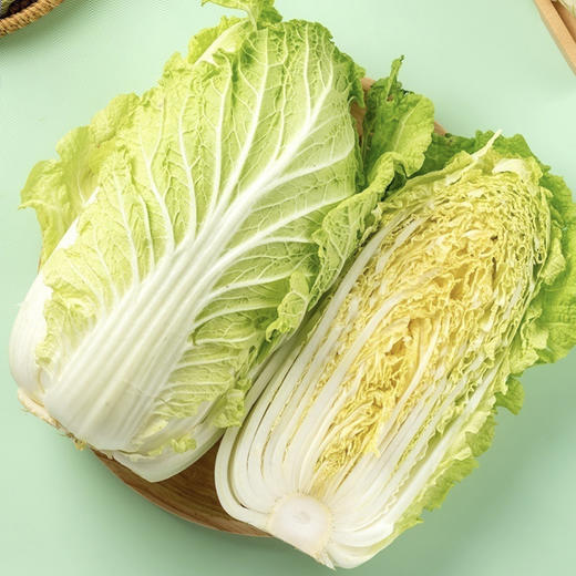 大白菜 约4斤/份 商品图1