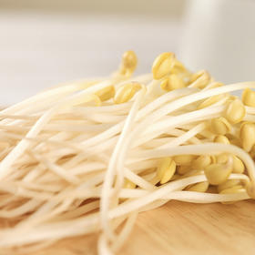 黄豆芽 约500/份