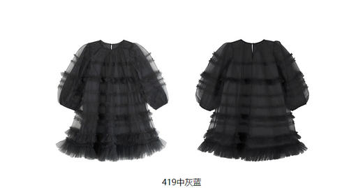 jnby  23年春款  网纱长袖连衣裙  1N1G13460 商品图6