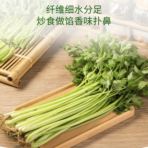 真蔬优选-毛芹菜 约500g/份 商品图3