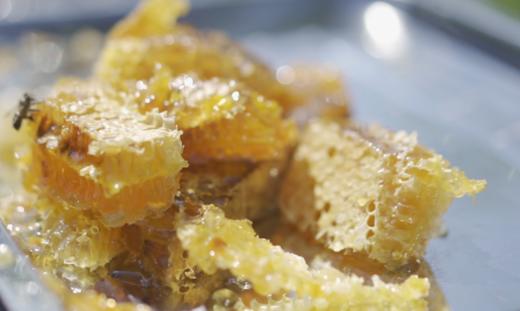 【榕江 · 定威蜂蜜】枣花洋槐五倍子蜂蜜土蜂蜜 商品图1