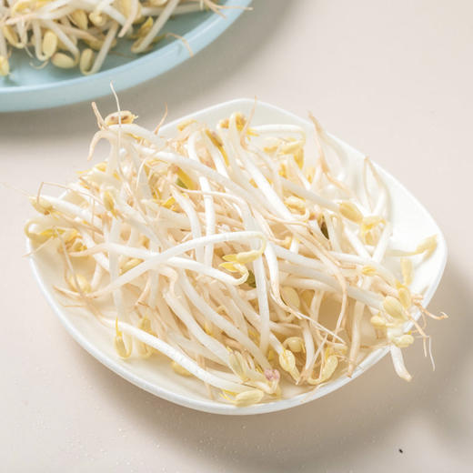 绿豆芽 约500/份 商品图0
