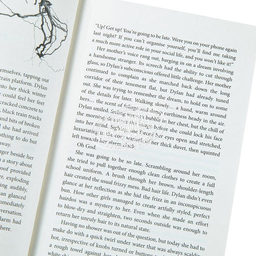 摆渡人 2册套装 全英文原版小说书 Ferryman Trespassers摆渡人 新版 摆渡人2 重返荒原 克莱儿麦克福尔 英语阅读书籍 商品图3