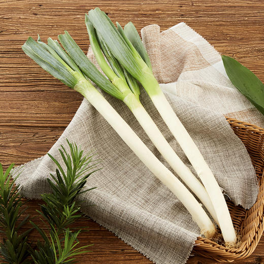 大葱 约500g/份 商品图0