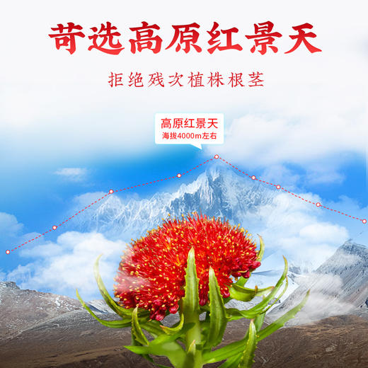 【官方正品】云南白药七花红景天粉2g*40袋便携独立包装精选高原红景天打细粉好吸收 商品图1