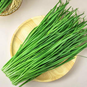 韭菜 约500g/份