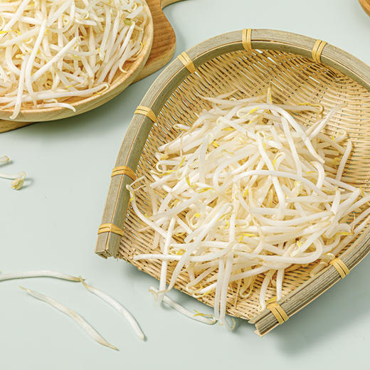 绿豆芽 约500/份 商品图4