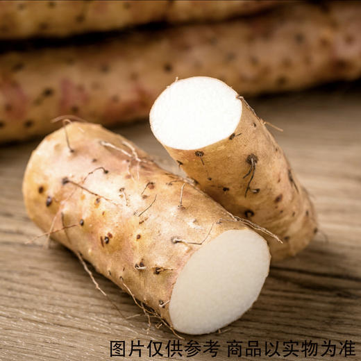 山药 约500g/份 商品图2