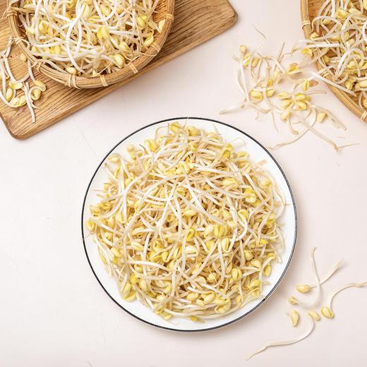 黄豆芽 约500/份 商品图3