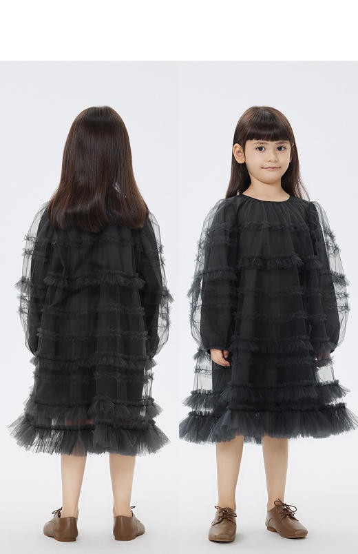 jnby  23年春款  网纱长袖连衣裙  1N1G13460 商品图4