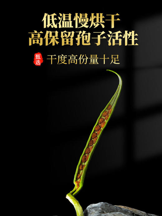 【自营】肾精茶70g/瓶 商品图1