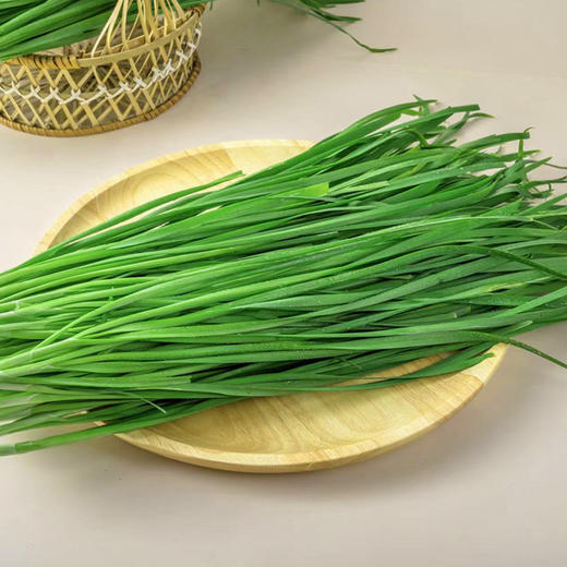 韭菜 约500g/份 商品图2