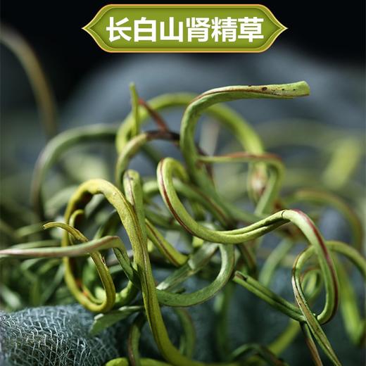 【自营】肾精茶70g/瓶 商品图4