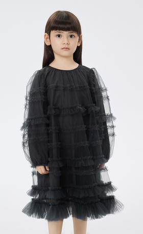 jnby  23年春款  网纱长袖连衣裙  1N1G13460