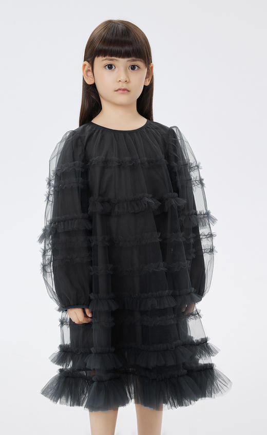 jnby  23年春款  网纱长袖连衣裙  1N1G13460 商品图0