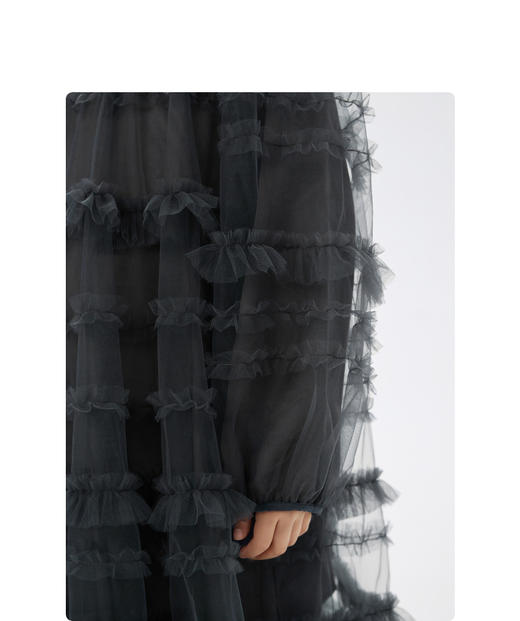 jnby  23年春款  网纱长袖连衣裙  1N1G13460 商品图3