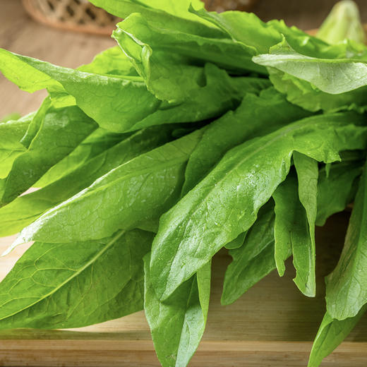 油麦菜 约500g/份 商品图3