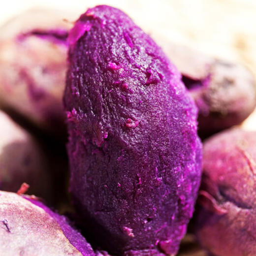 紫薯  约500/份 商品图1