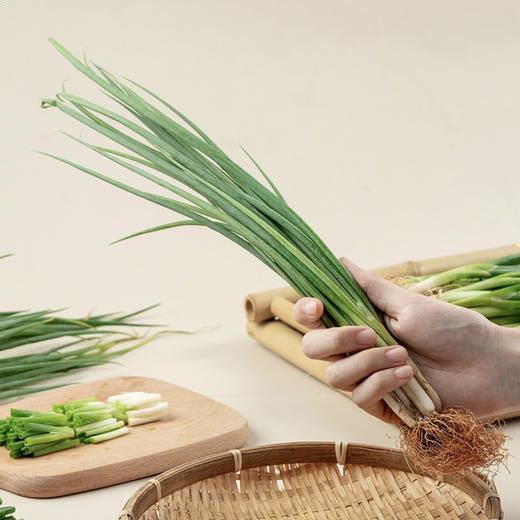 小葱  约250g/份 商品图1
