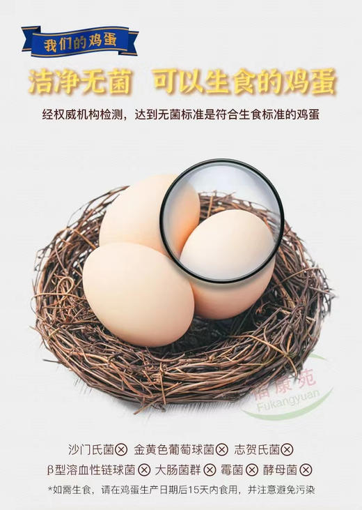 现货达西妮亚土鸡蛋10枚/60枚装 商品图5